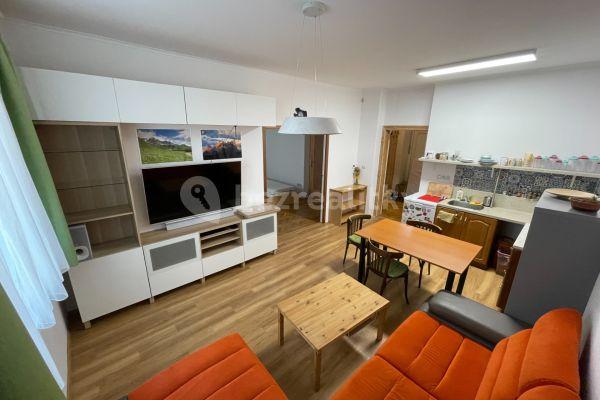 Prenájom bytu 2-izbový 50 m², Rybářská, Brno