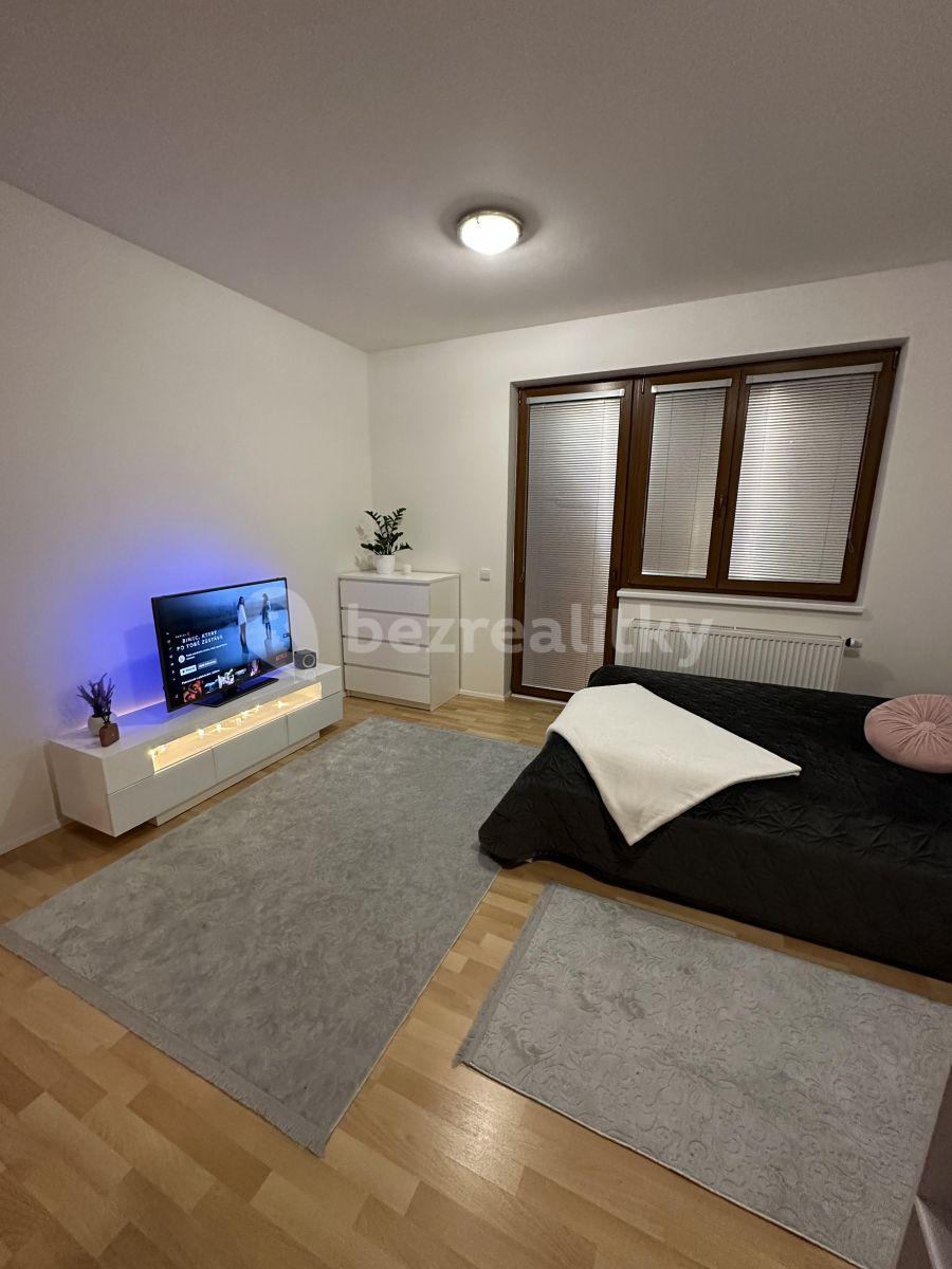 Prenájom bytu 1-izbový 32 m², Zemské právo, Praha, Praha