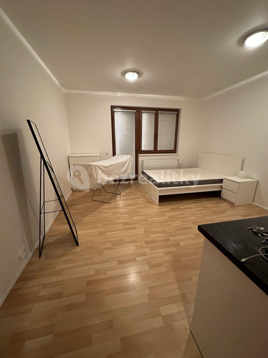 Prenájom bytu 1-izbový 32 m², Zemské právo, Praha, Praha