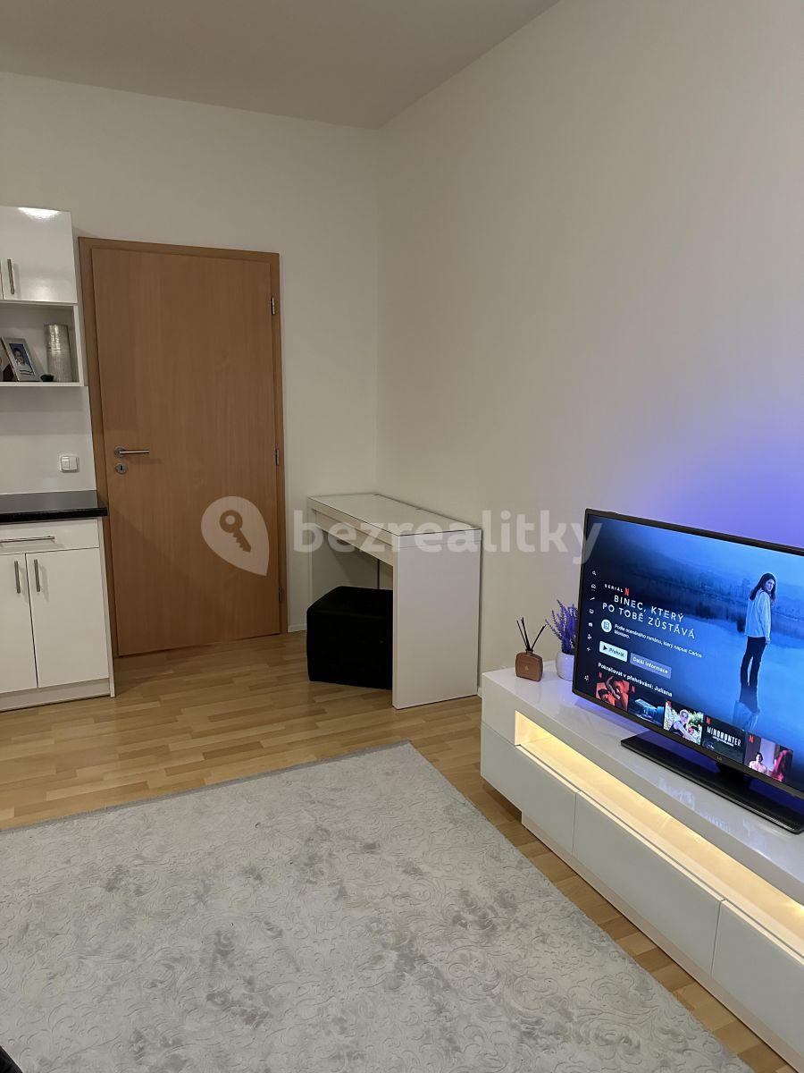 Prenájom bytu 1-izbový 32 m², Zemské právo, Praha, Praha