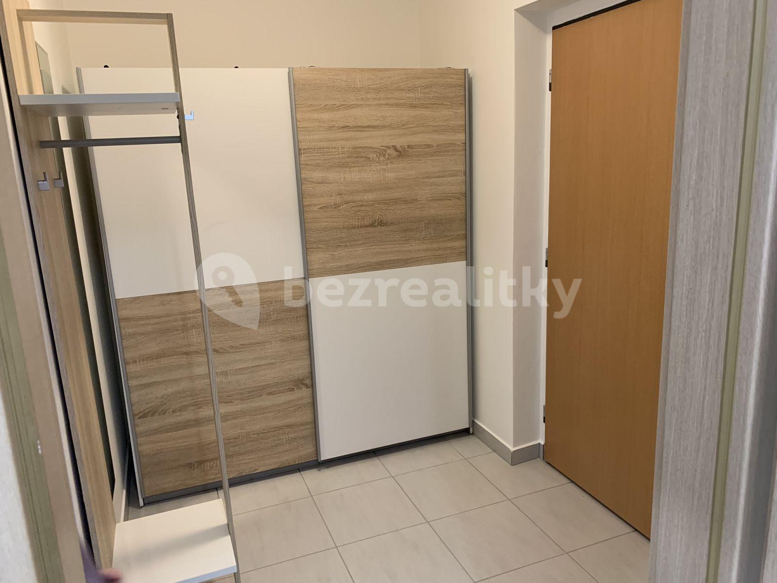 Prenájom bytu 1-izbový 40 m², U Leskavy, Brno, Jihomoravský kraj