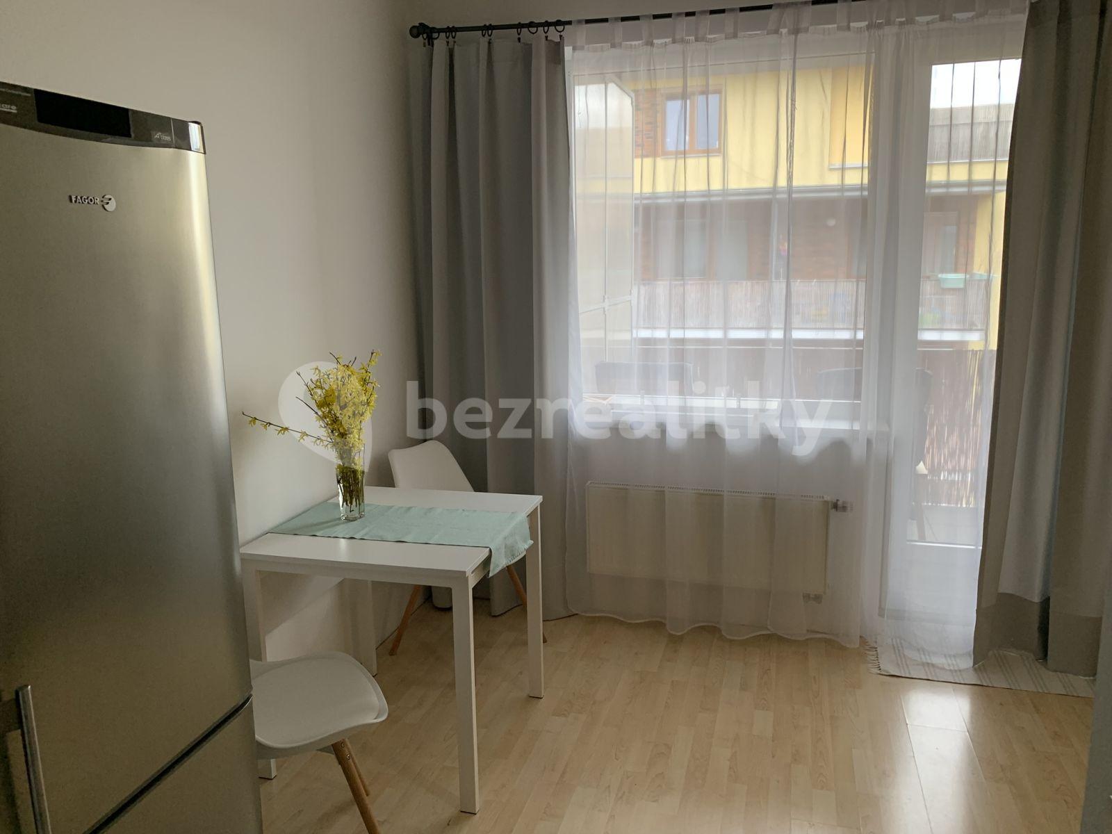 Prenájom bytu 1-izbový 40 m², U Leskavy, Brno, Jihomoravský kraj