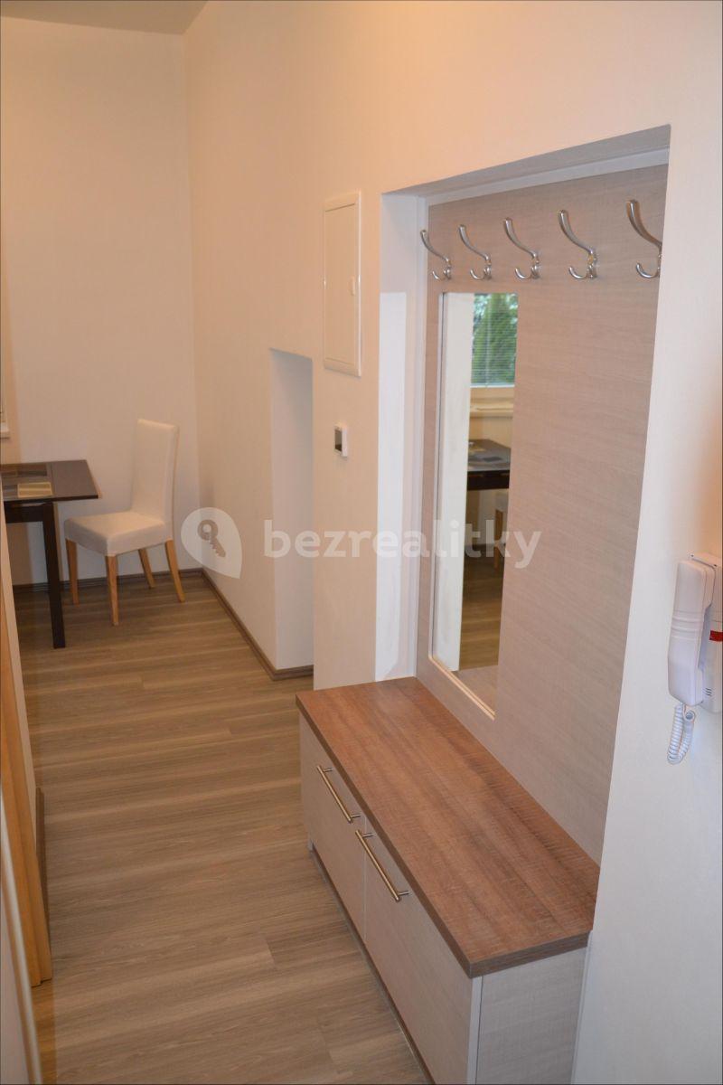 Prenájom bytu 1-izbový 30 m², Florianova, Brno, Jihomoravský kraj