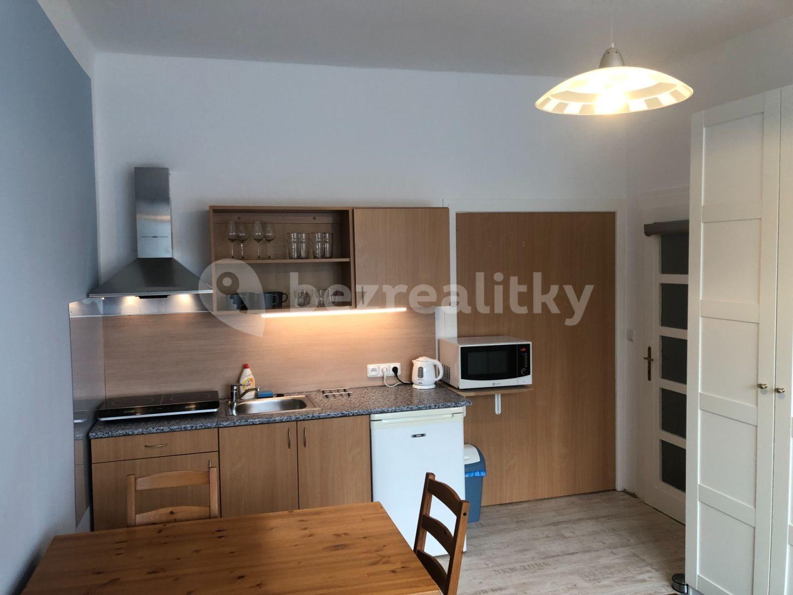 Prenájom bytu 1-izbový 25 m², Eliášova, Brno, Jihomoravský kraj