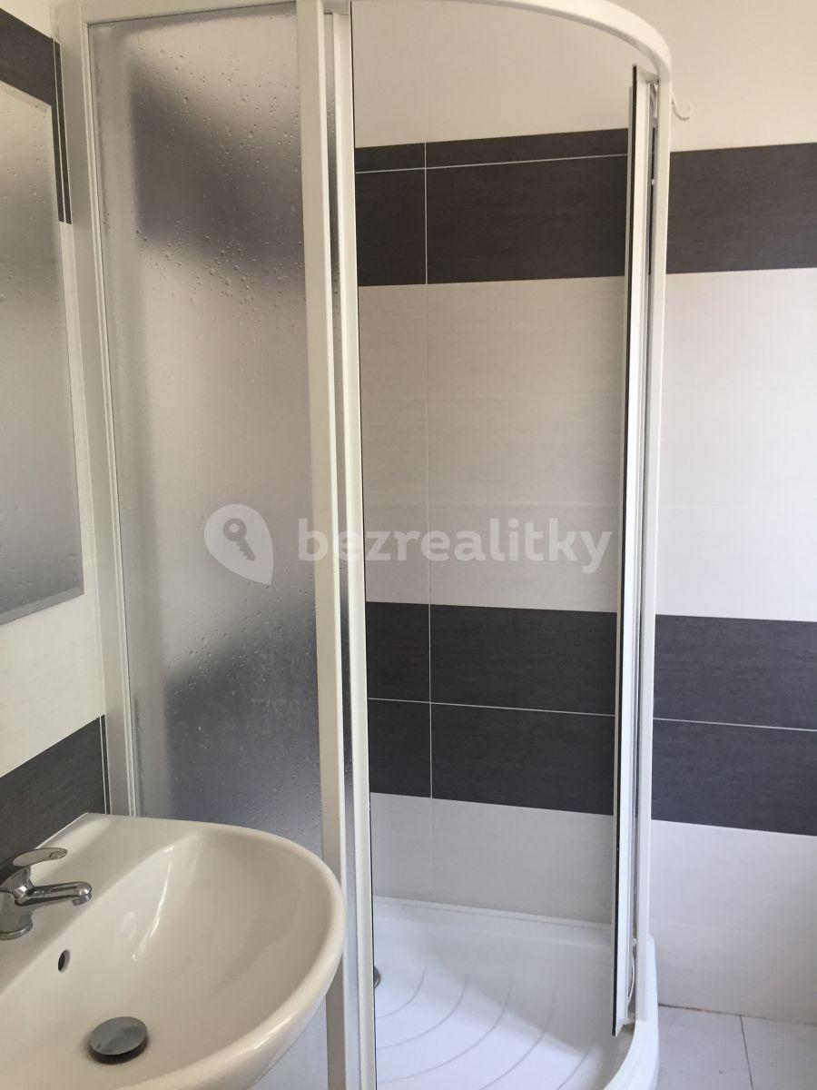 Prenájom bytu 1-izbový 24 m², Sdružení, Praha, Praha