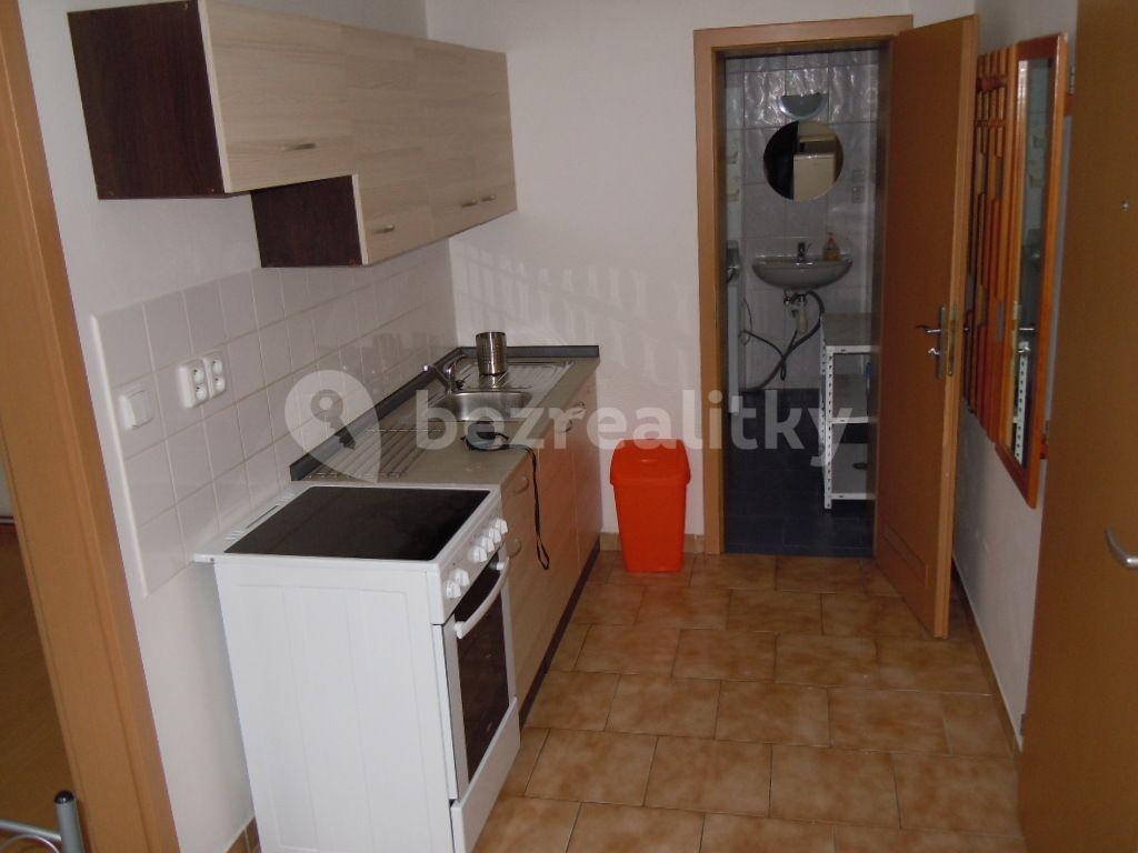 Prenájom bytu 1-izbový 28 m², Zemědělská, Brno, Jihomoravský kraj