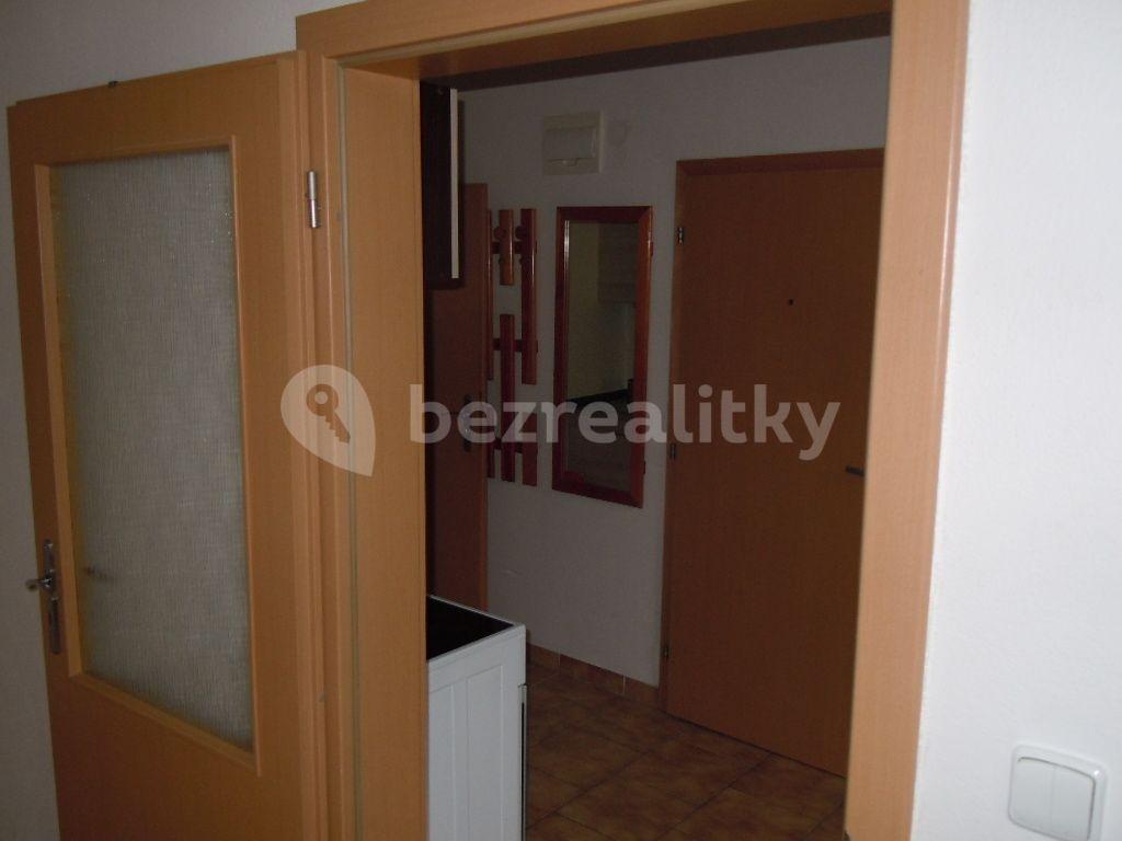 Prenájom bytu 1-izbový 28 m², Zemědělská, Brno, Jihomoravský kraj