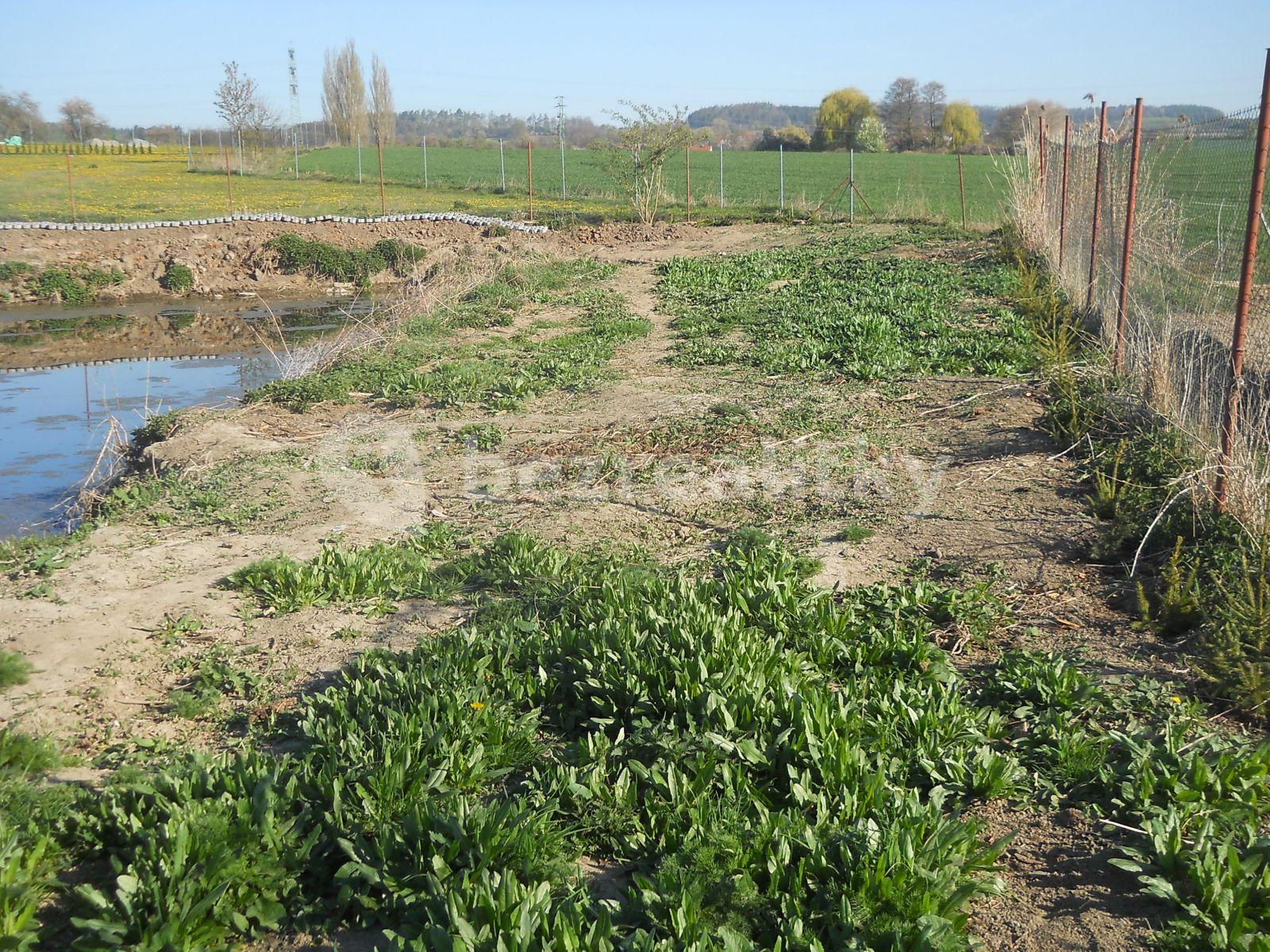 Prenájom rekreačného objektu 40 m², pozemek 3.100 m², Chotilsko, Středočeský kraj