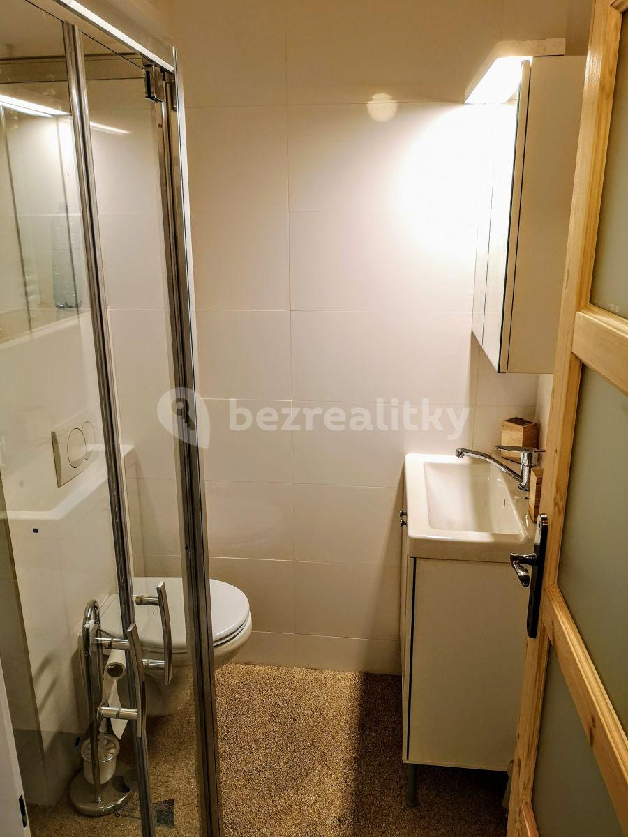 Prenájom bytu 1-izbový 43 m², Seifertova, Praha, Praha