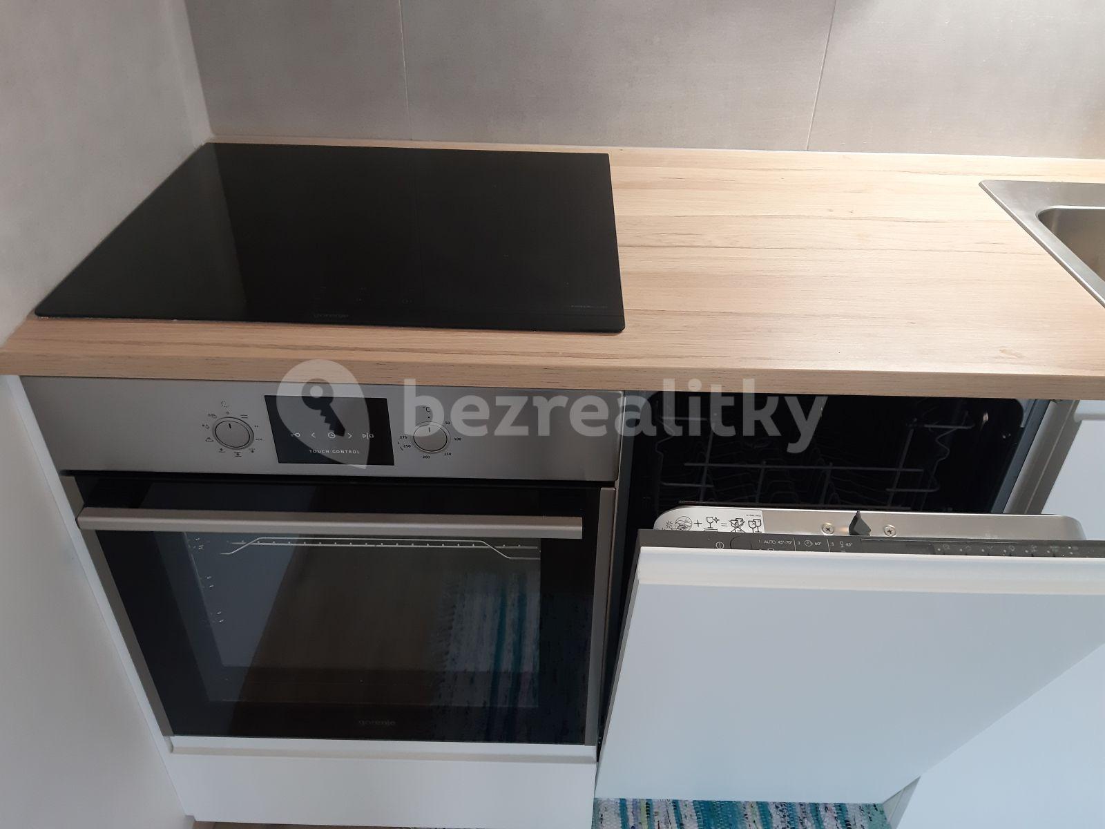 Prenájom bytu 1-izbový 38 m², Horolezecká, Praha, Praha