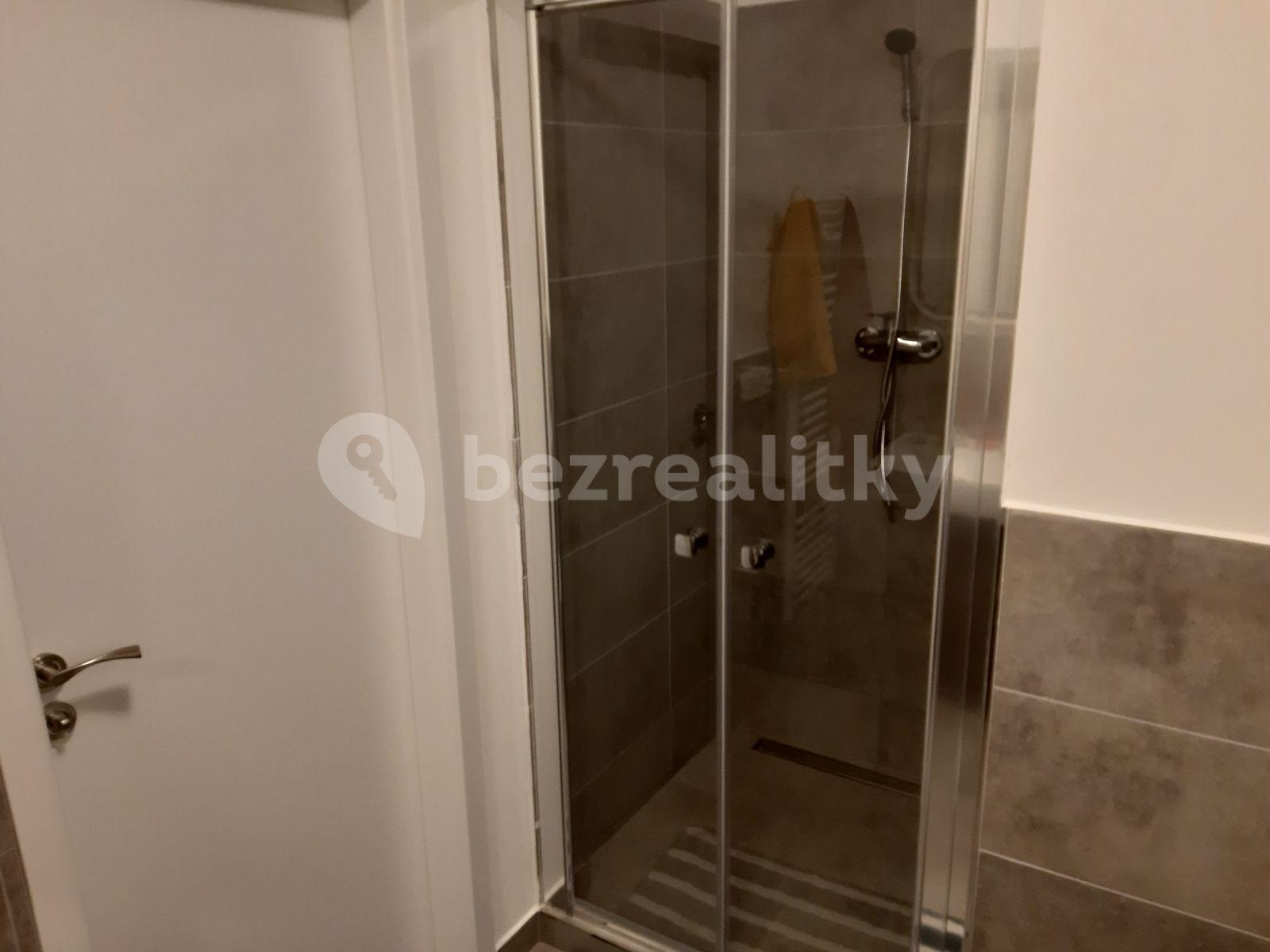 Prenájom bytu 1-izbový 38 m², Horolezecká, Praha, Praha