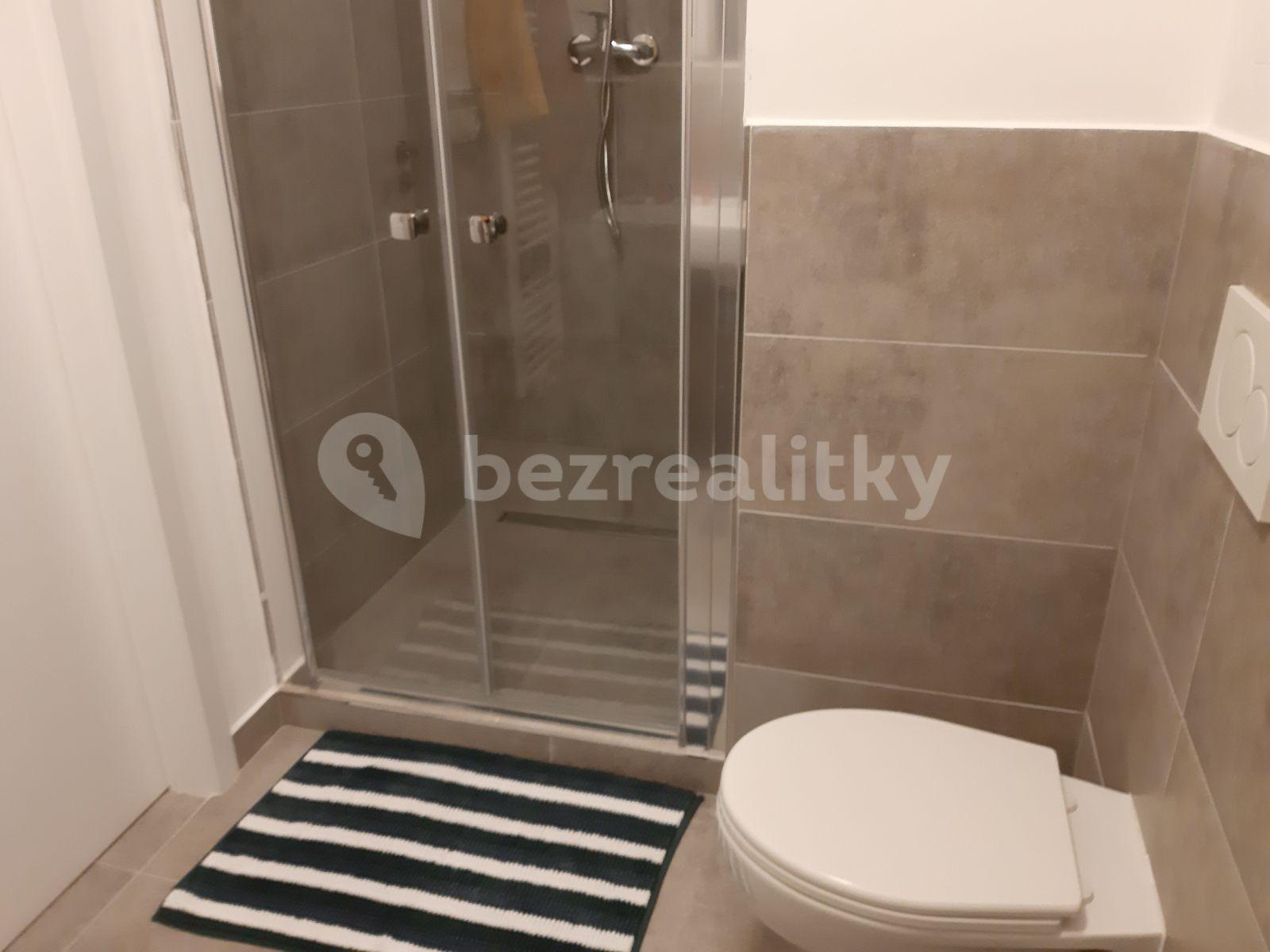 Prenájom bytu 1-izbový 38 m², Horolezecká, Praha, Praha