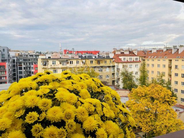 Prenájom bytu 1-izbový 30 m², Kloboučnická, Praha, Praha