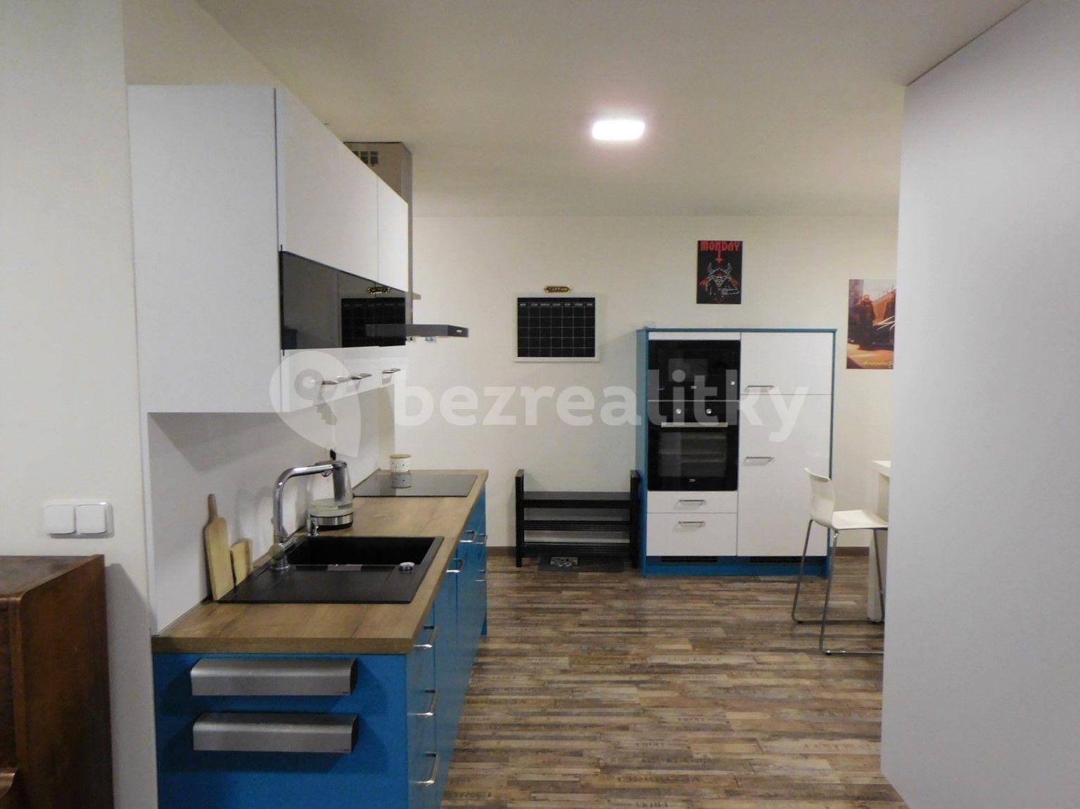 Prenájom bytu 1-izbový 42 m², Nekvasilova, Praha, Praha