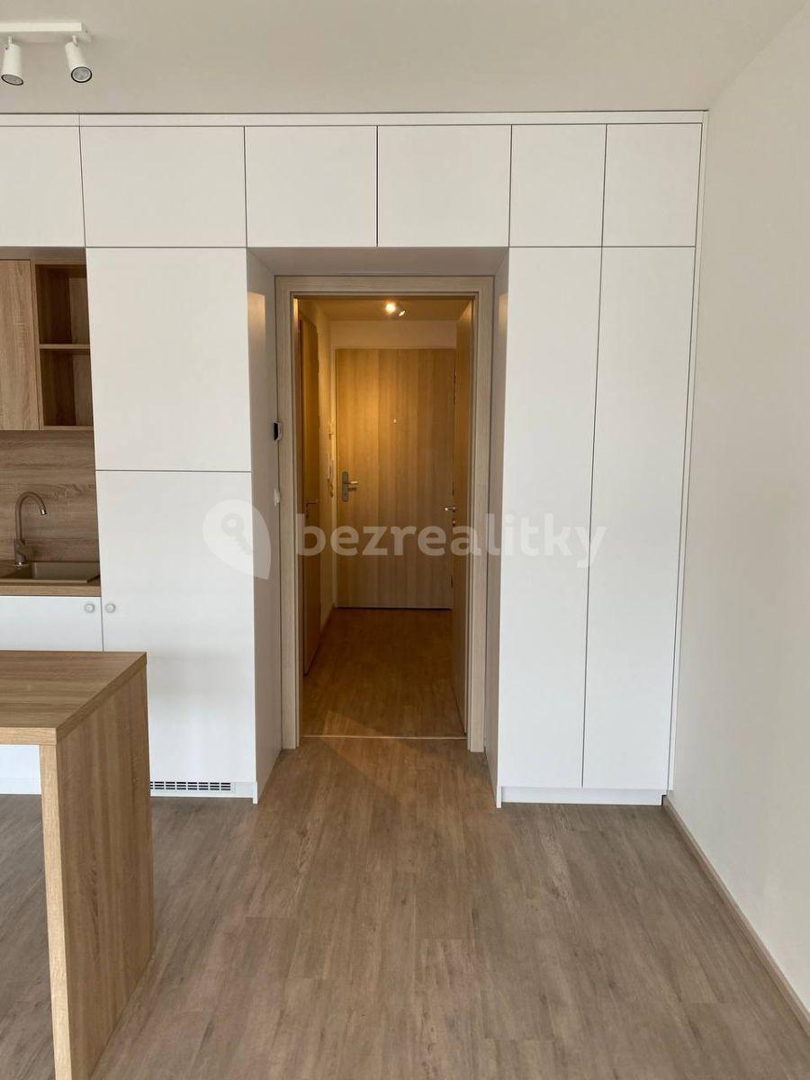 Prenájom bytu 1-izbový 30 m², Do Zahrádek Ⅰ, Praha, Praha