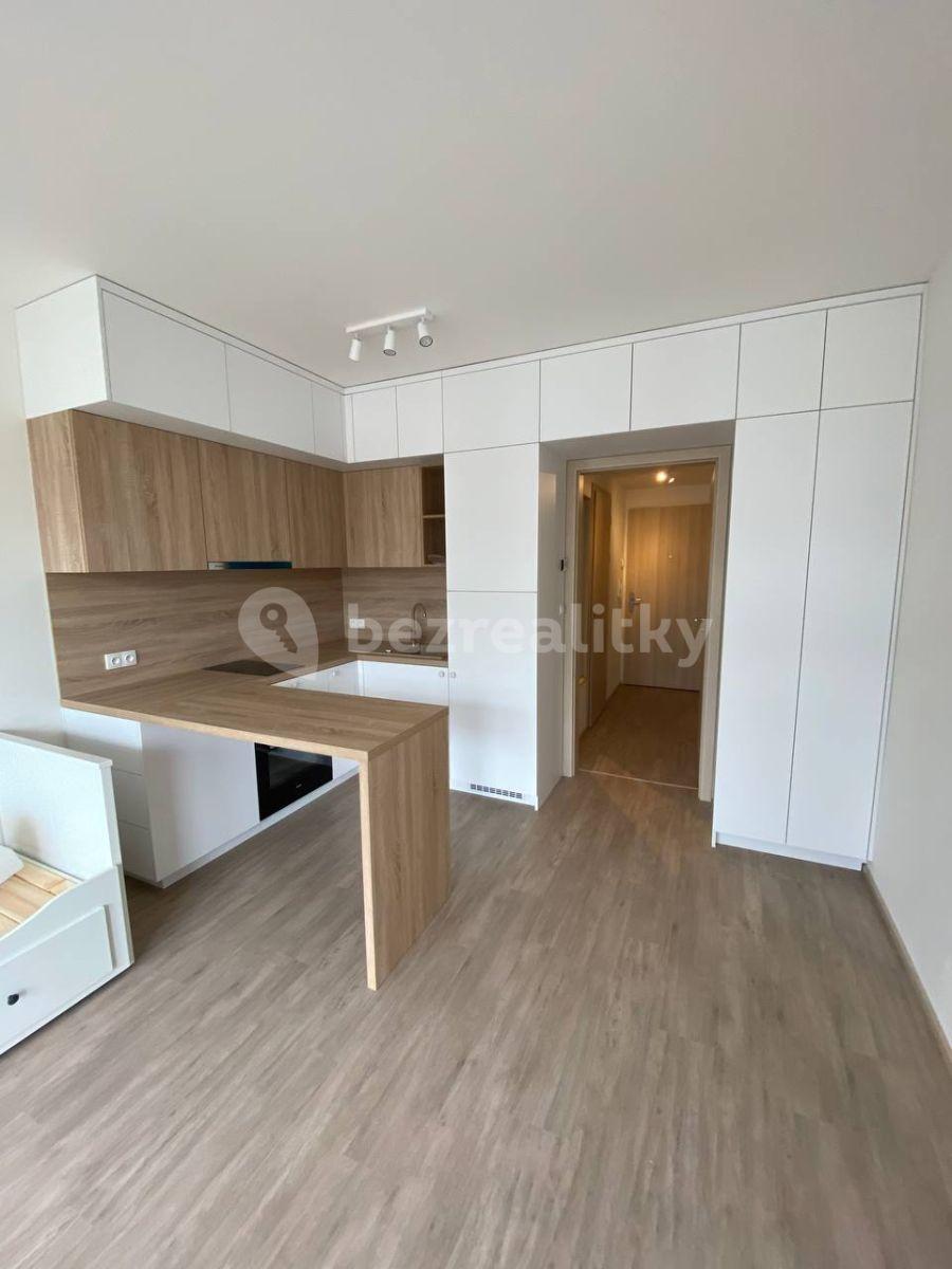 Prenájom bytu 1-izbový 30 m², Do Zahrádek Ⅰ, Praha, Praha