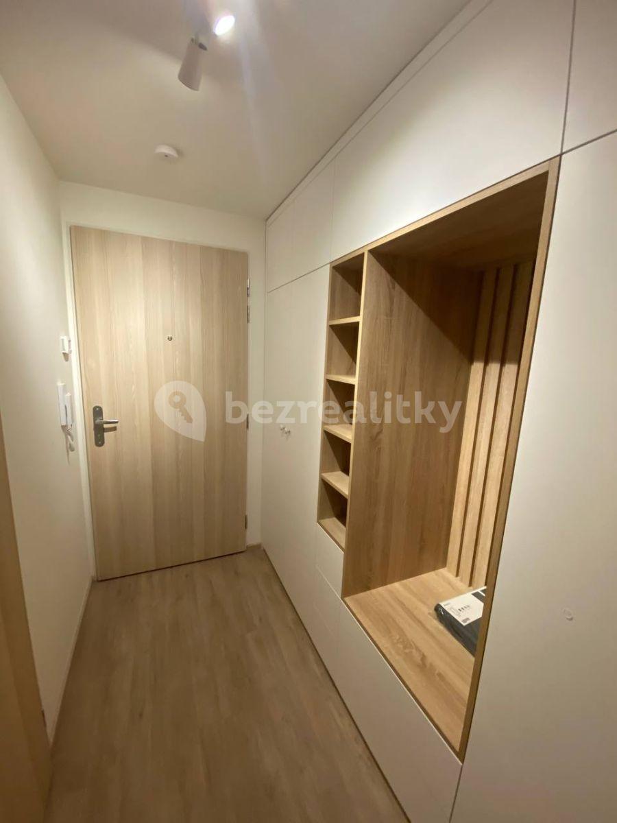 Prenájom bytu 1-izbový 30 m², Do Zahrádek Ⅰ, Praha, Praha