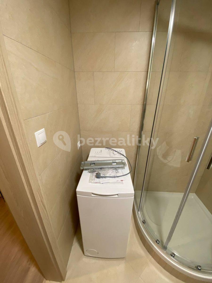 Prenájom bytu 1-izbový 30 m², Do Zahrádek Ⅰ, Praha, Praha