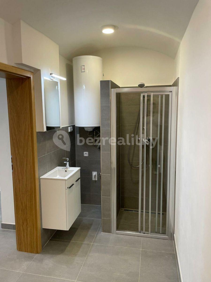 Prenájom bytu 1-izbový 26 m², Slezská, Praha, Praha