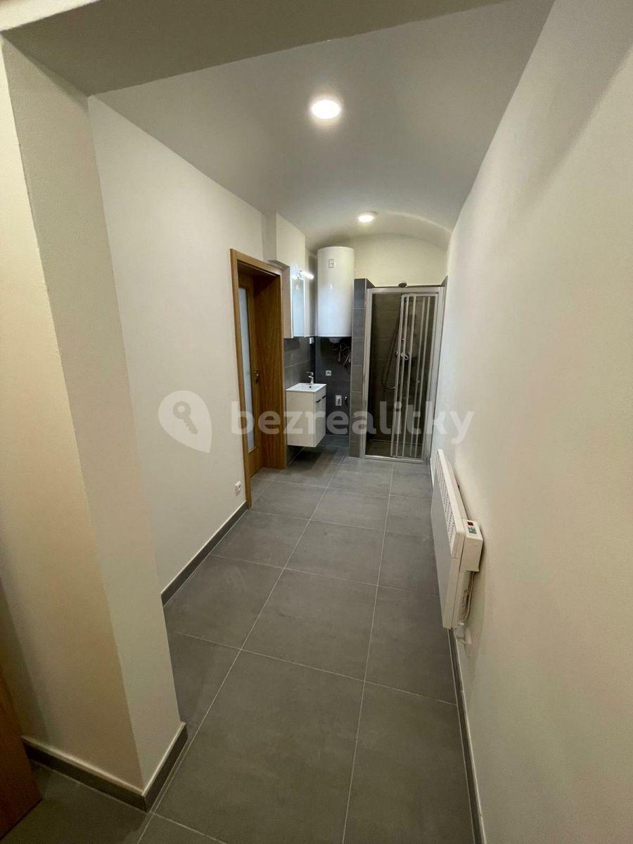 Prenájom bytu 1-izbový 26 m², Slezská, Praha, Praha