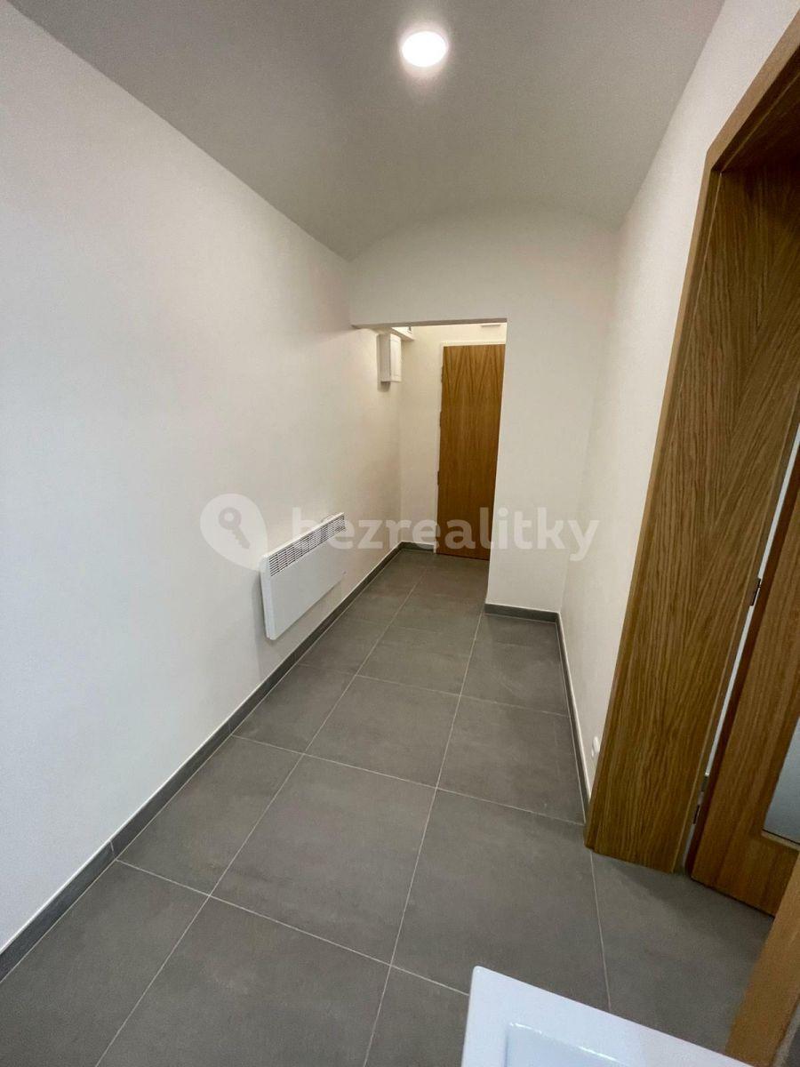 Prenájom bytu 1-izbový 26 m², Slezská, Praha, Praha