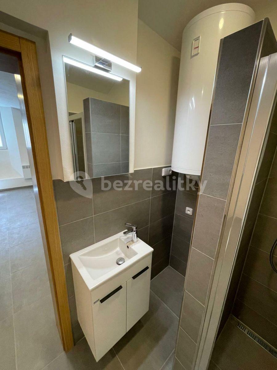 Prenájom bytu 1-izbový 26 m², Slezská, Praha, Praha