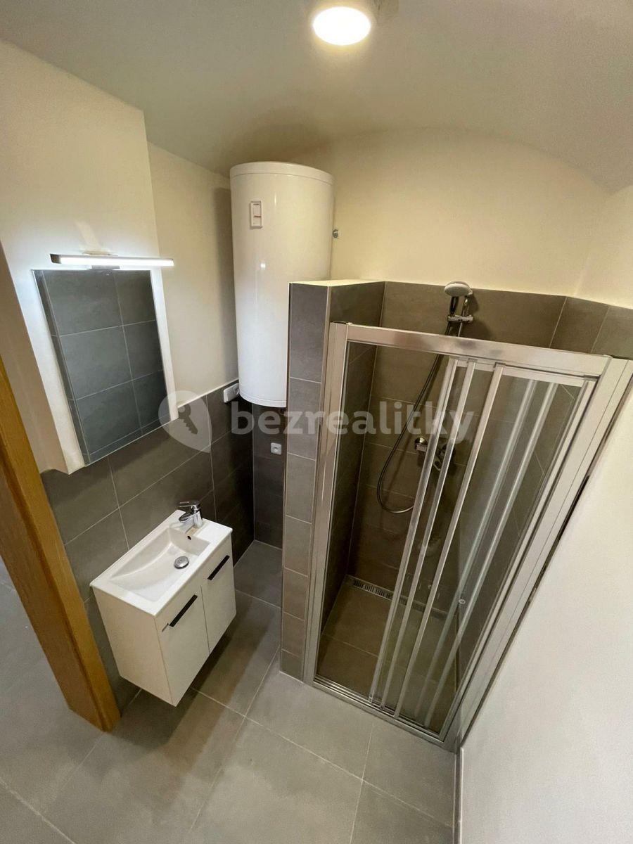 Prenájom bytu 1-izbový 26 m², Slezská, Praha, Praha