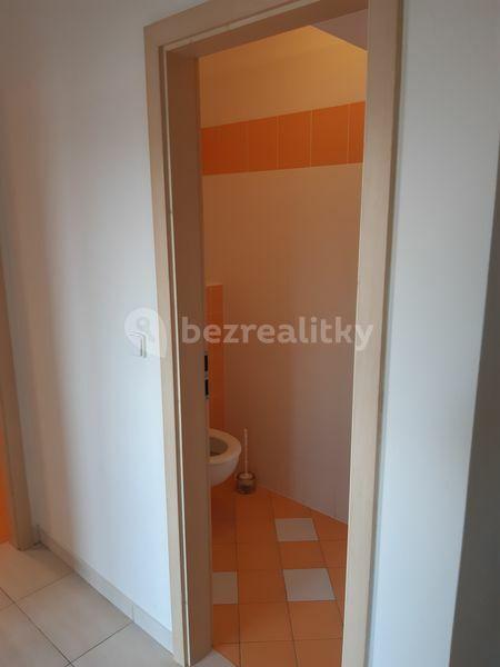 Prenájom bytu 3-izbový 65 m², Sedláčkova, Brno, Jihomoravský kraj