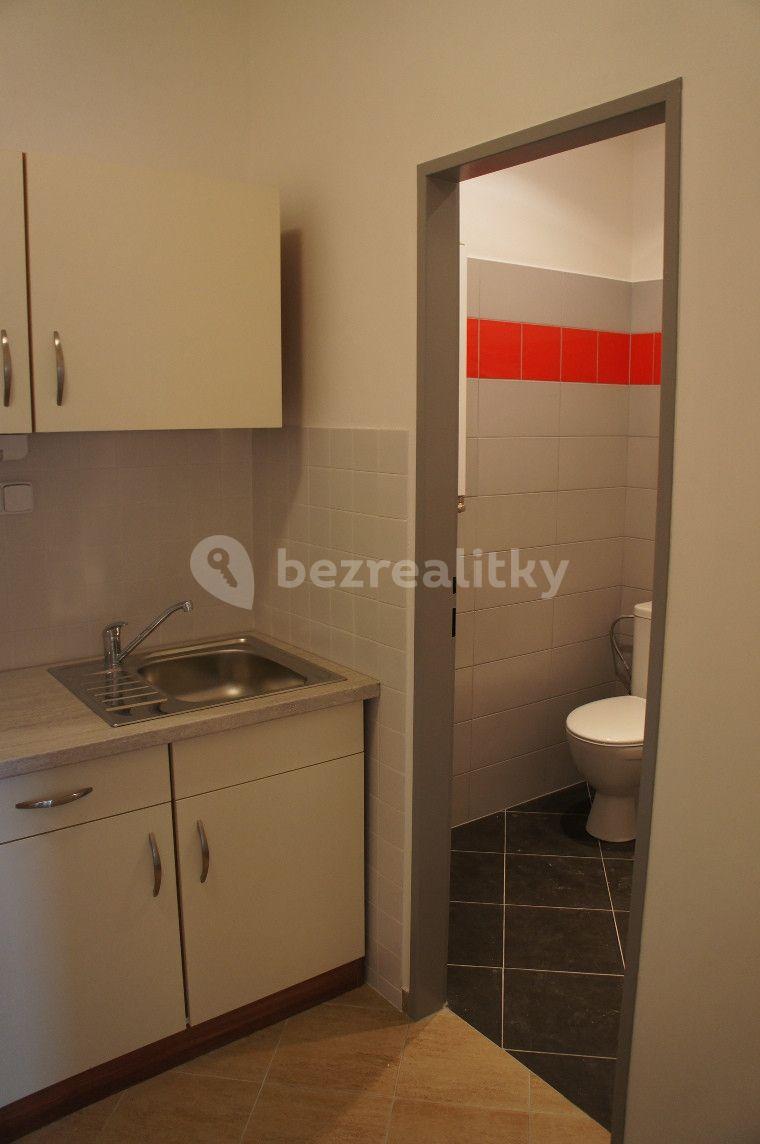 Prenájom bytu 1-izbový 30 m², Na Kopečku, Praha, Praha