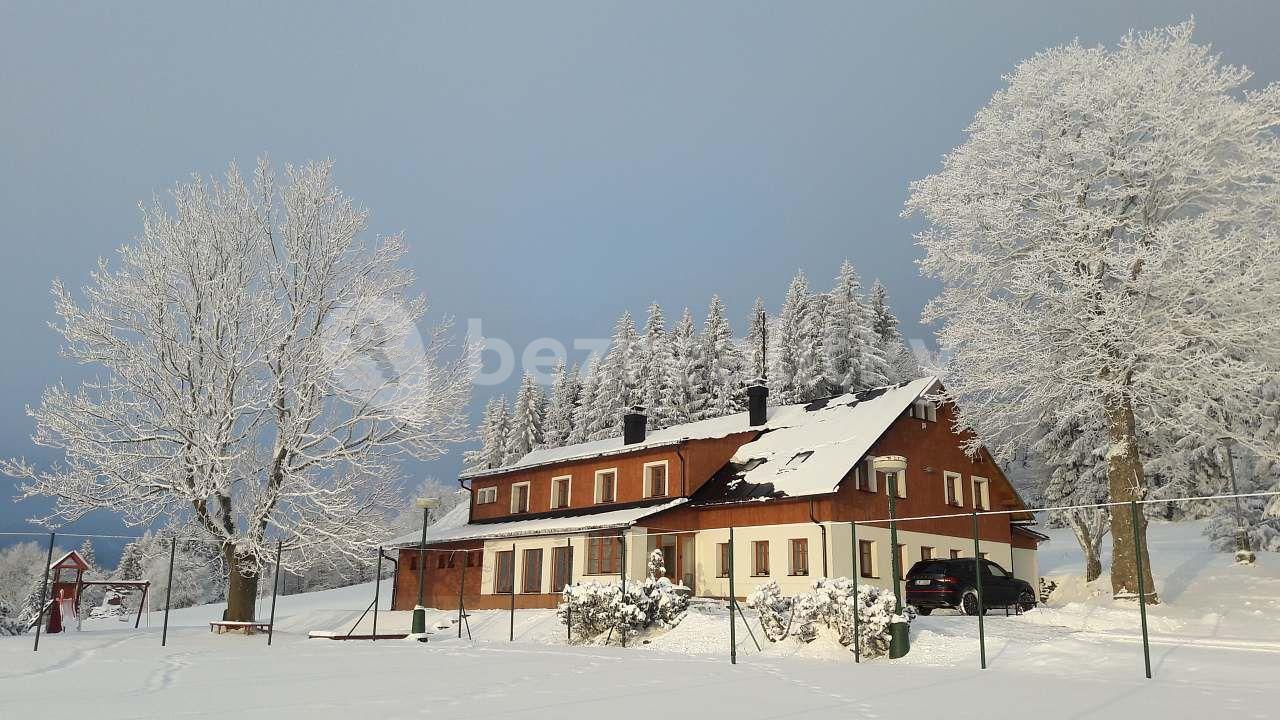 Prenájom rekreačného objektu, Říčky v Orlických horách, Královéhradecký kraj