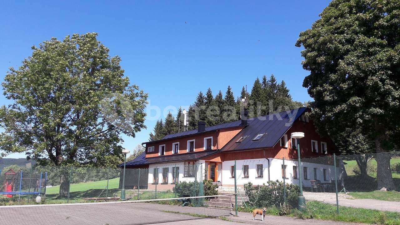 Prenájom rekreačného objektu, Říčky v Orlických horách, Královéhradecký kraj