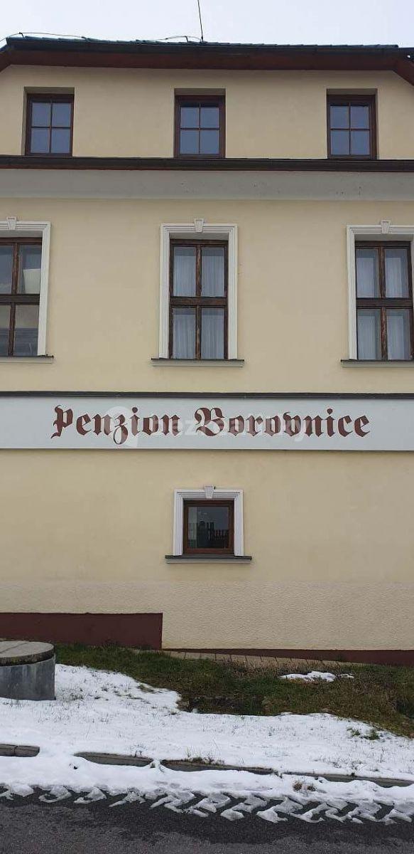 Prenájom rekreačného objektu, Borovnice, Kraj Vysočina