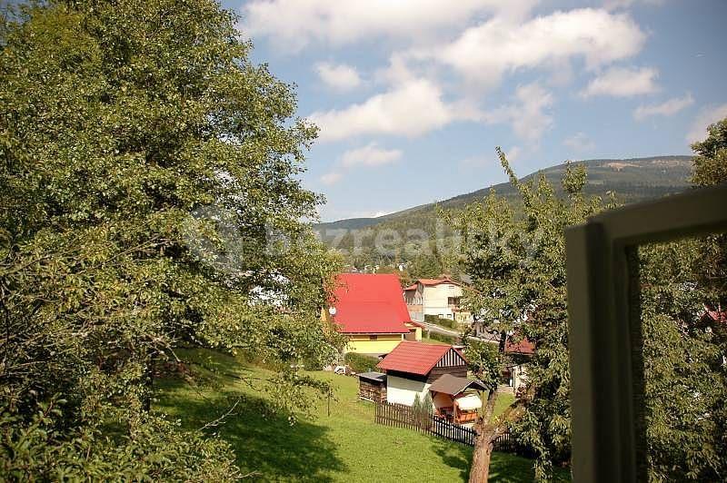 Prenájom rekreačného objektu, Černý Důl, Královéhradecký kraj