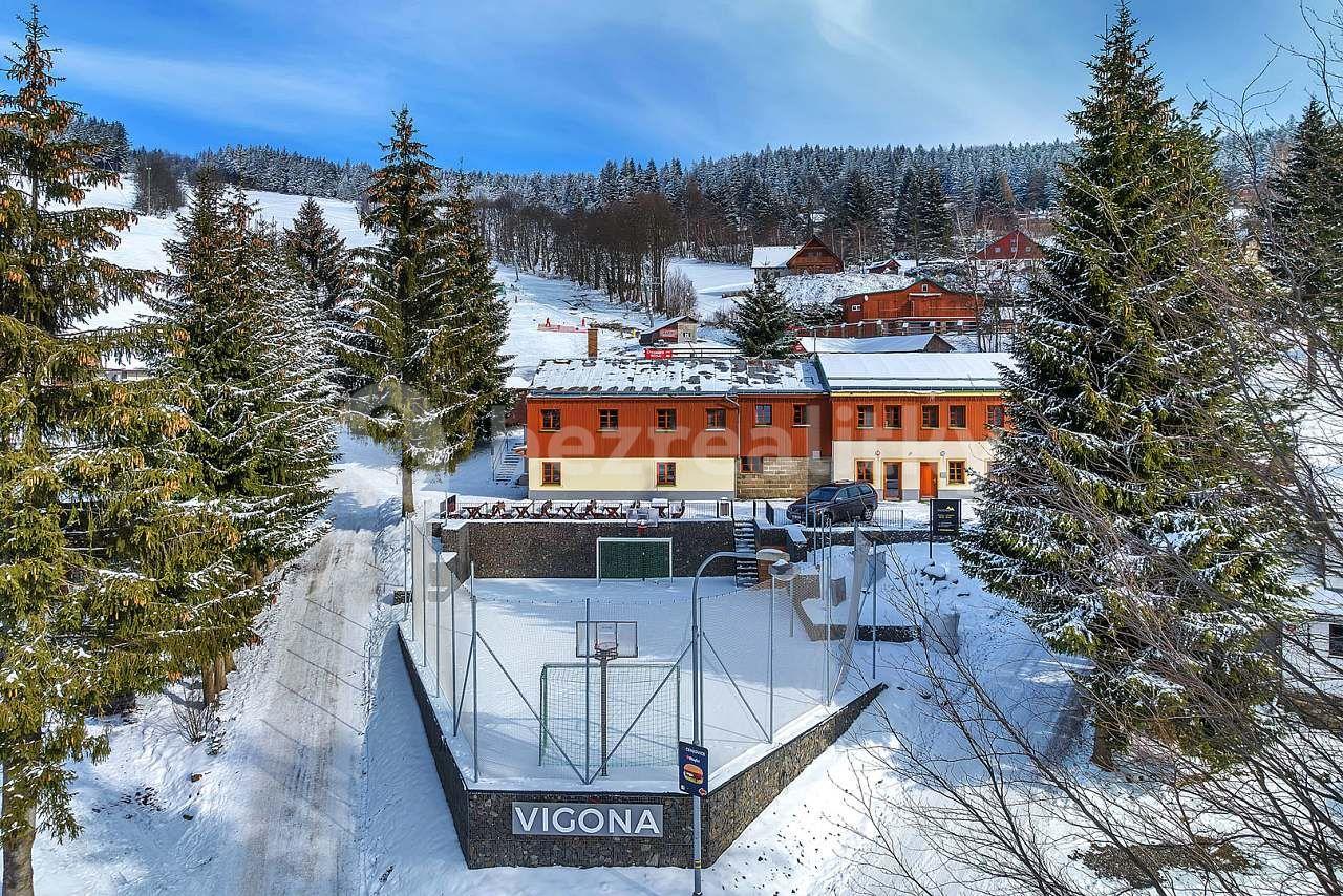 Prenájom rekreačného objektu, Čenkovice, Pardubický kraj