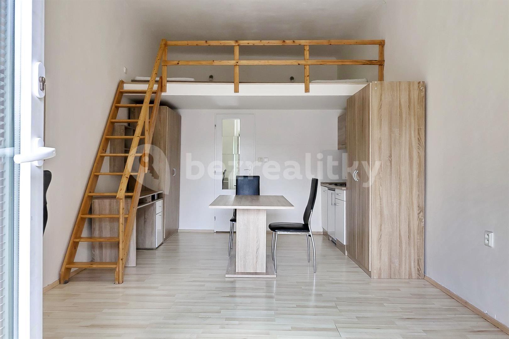 Prenájom bytu 1-izbový 24 m², Václavská, Brno, Jihomoravský kraj