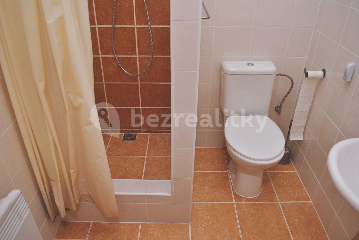 Prenájom bytu 1-izbový 25 m², Spolková, Brno, Jihomoravský kraj