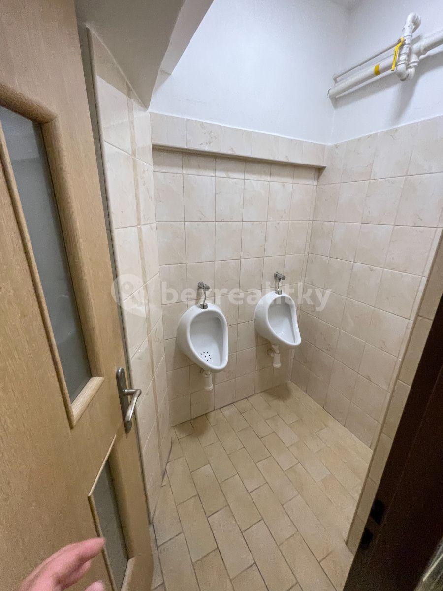 Prenájom nebytového priestoru 235 m², Vacínova, Praha, Praha