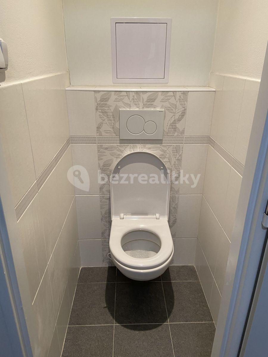 Prenájom bytu 3-izbový 74 m², Plevenská, Praha, Praha