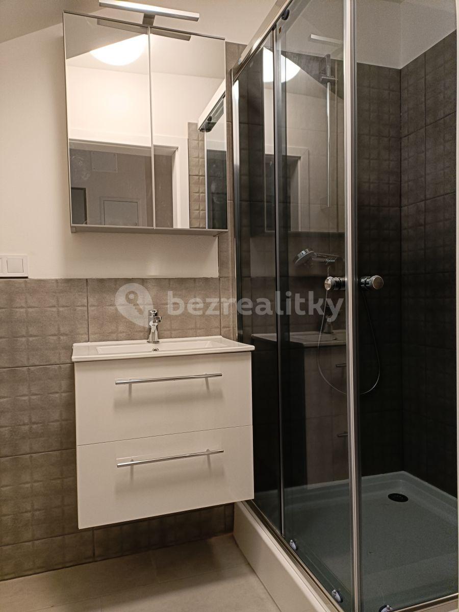 Prenájom bytu Garsoniéra 32 m², Seifertova, Praha, Praha