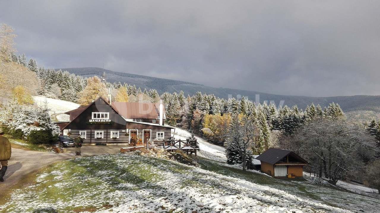 Prenájom rekreačného objektu, Dolní Dvůr, Královéhradecký kraj