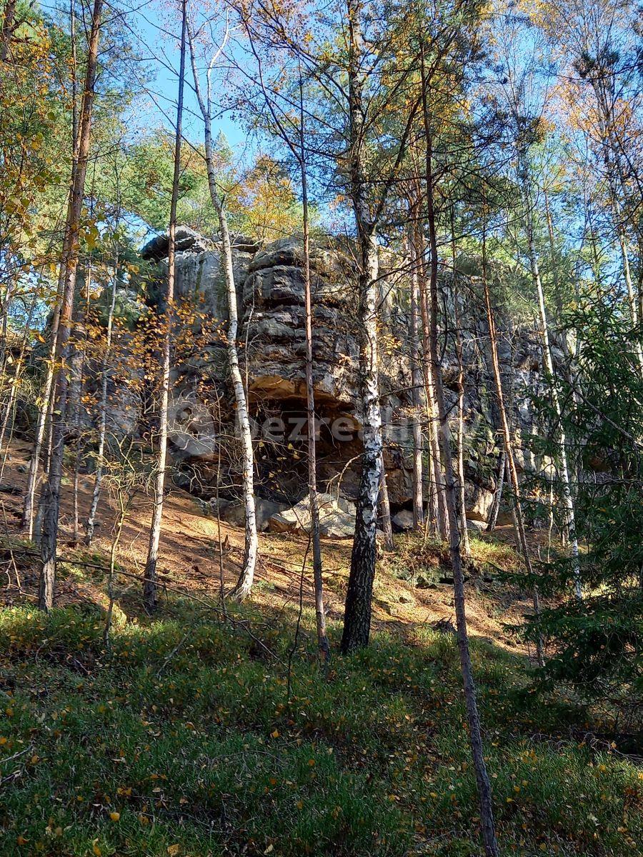 Prenájom rekreačného objektu 15 m², pozemek 1.750 m², Okna, Liberecký kraj