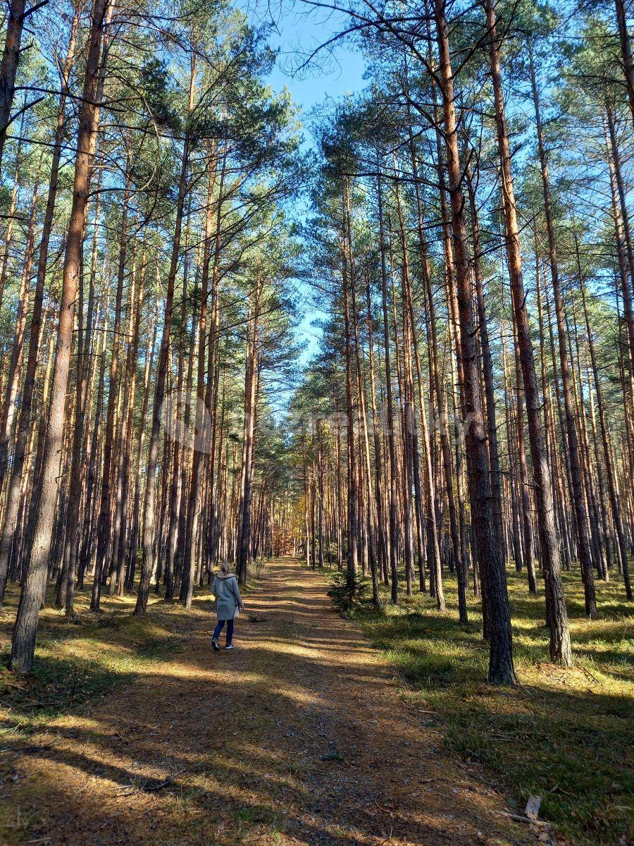 Prenájom rekreačného objektu 15 m², pozemek 1.750 m², Okna, Liberecký kraj