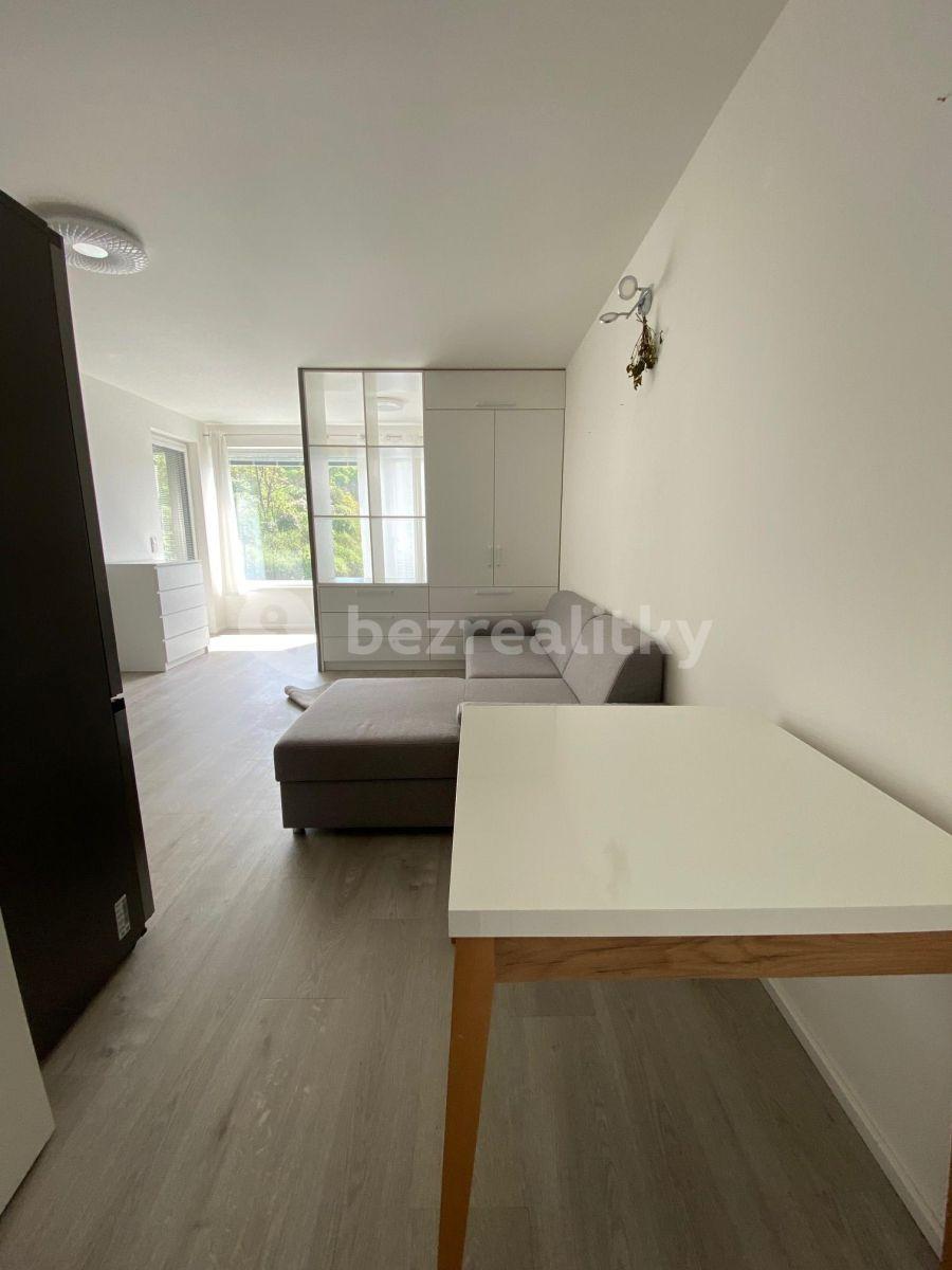 Prenájom bytu 1-izbový 45 m², Praha, Praha