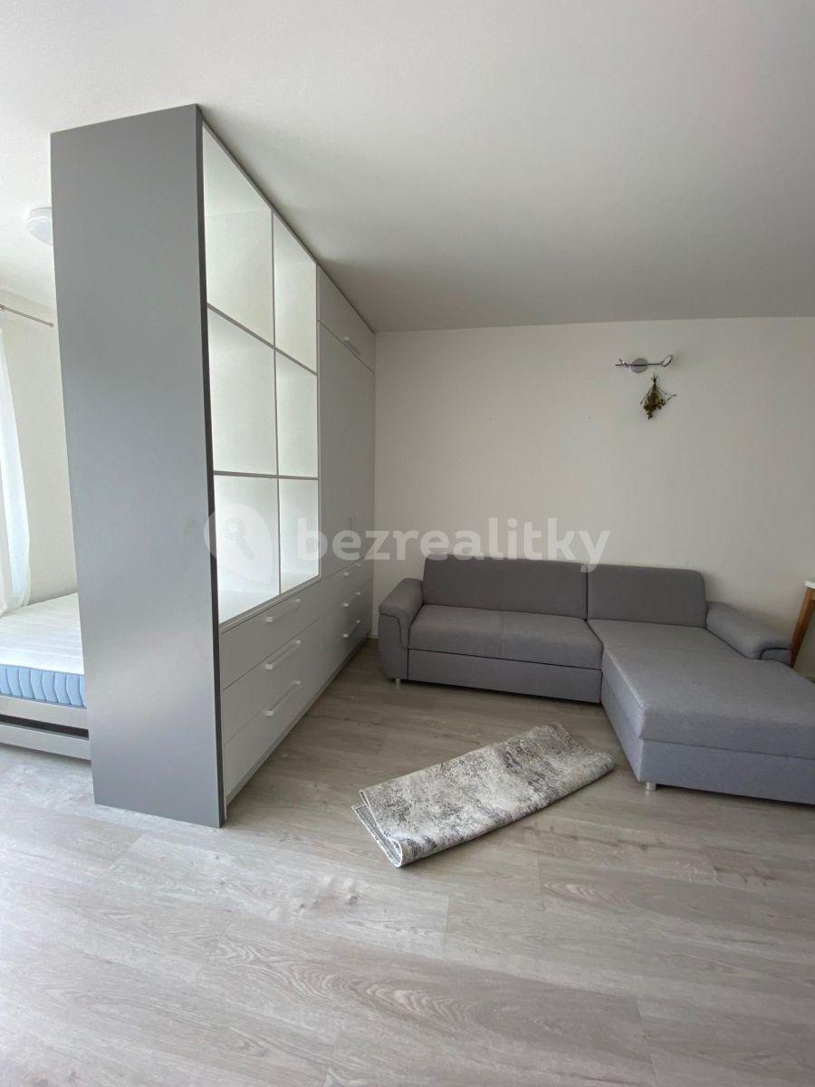 Prenájom bytu 1-izbový 45 m², Praha, Praha