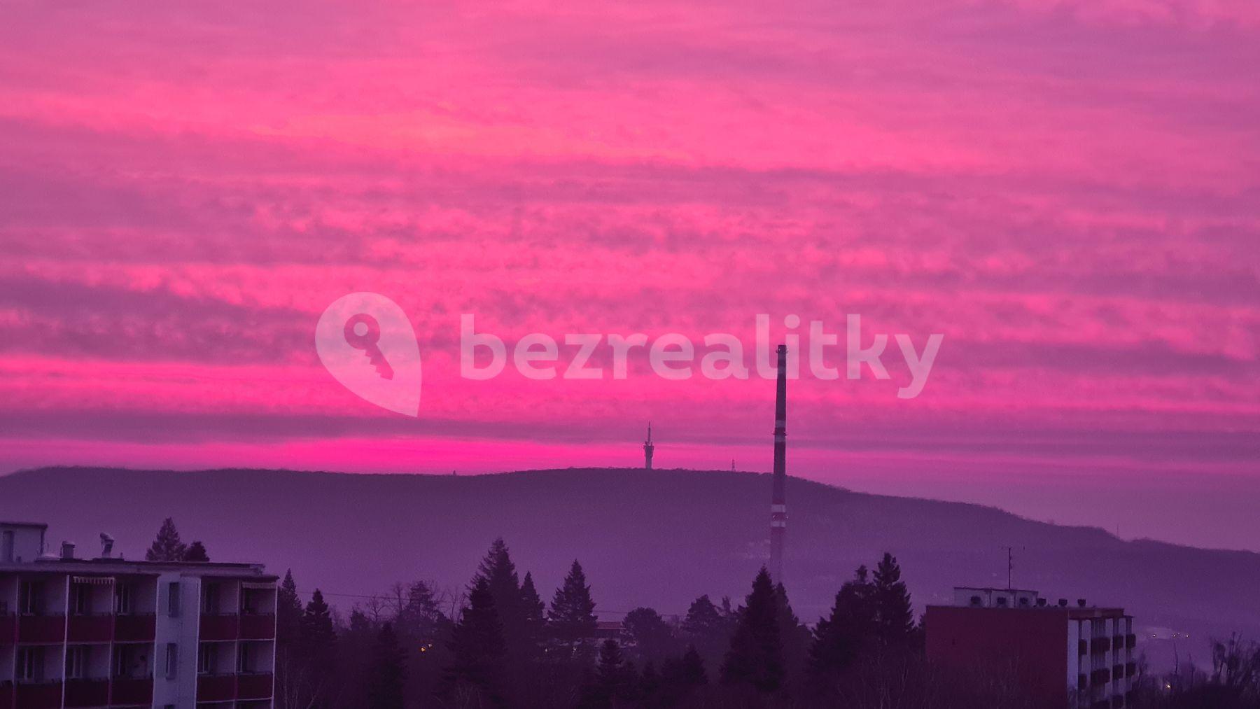 Prenájom bytu 1-izbový 30 m², Halasovo náměstí, Brno, Jihomoravský kraj