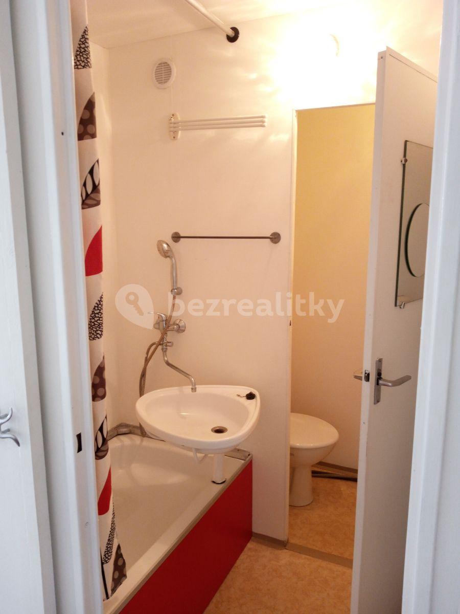 Prenájom bytu 1-izbový 45 m², Ečerova, Brno, Jihomoravský kraj