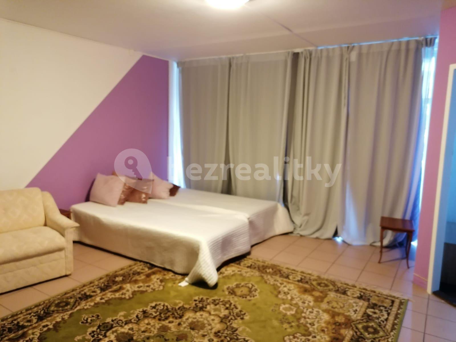 Prenájom bytu 1-izbový 45 m², Kettnerova, Praha, Praha