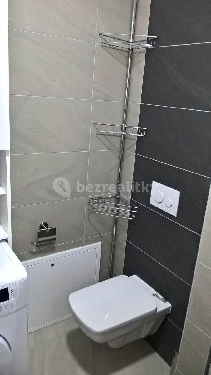 Prenájom bytu 1-izbový 34 m², Přadlácká, Brno, Jihomoravský kraj