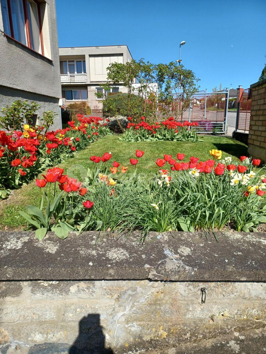 Prenájom bytu 2-izbový 67 m², Zborovská, Turnov, Liberecký kraj