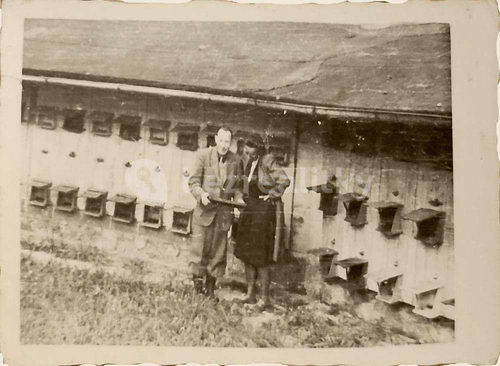 Prenájom rekreačného objektu, Černíny, Středočeský kraj